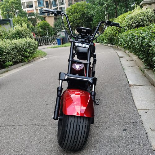 Citycoco Removable Battery Electric Scooter - Image 2