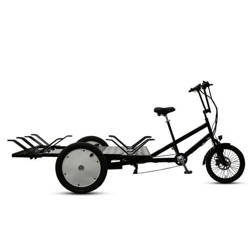 48V Lithium Battery Electric Cargo Bicycle - Image 2