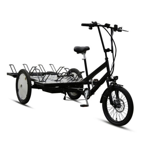 48V Lithium Battery Electric Cargo Bicycle