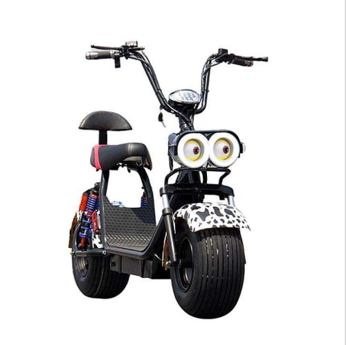 Electric Scooter With Big Wide Tire