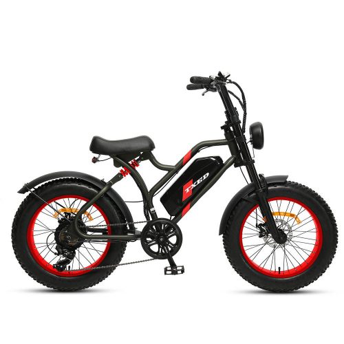 TXED Steel Frame Electric Chopper Bicycle