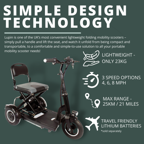 Folding Adults Electric Tricycle - Image 3