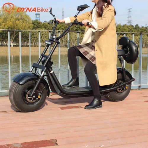 Citycoco Removable Battery Electric Scooter - Image 3