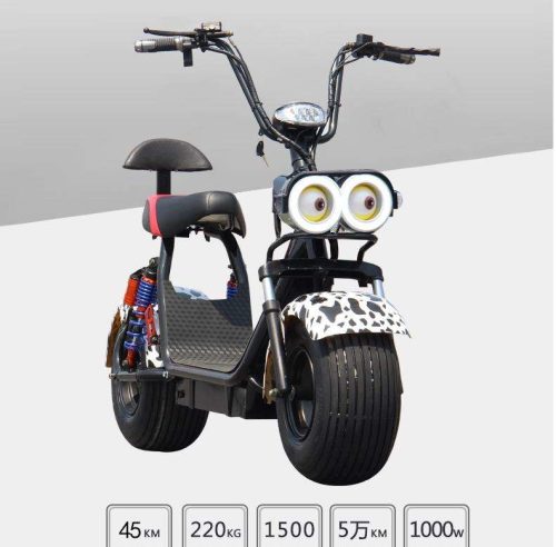 Electric Scooter With Big Wide Tire - Image 5