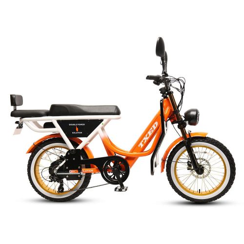 20Inch Golden Rim Electric Fat Tire Bicycle - Image 5