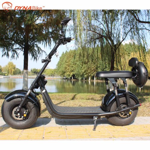 Citycoco Removable Battery Electric Scooter