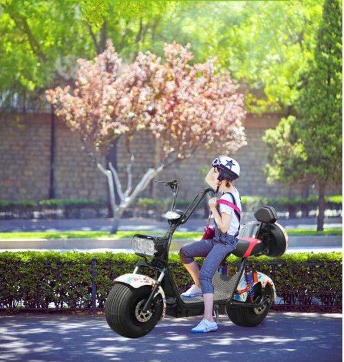 Electric Scooter With Big Wide Tire - Image 6