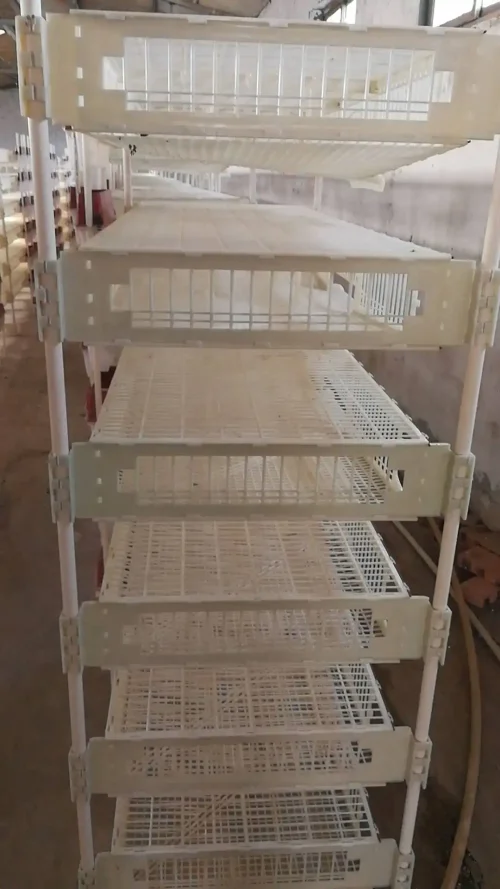 Factory Price 6 Layer Plastic Bird Cage With Collect System For 350 Quails - Image 2