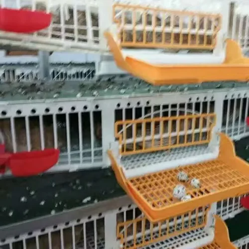 Factory Price 6 Layer Plastic Bird Cage With Collect System For 350 Quails - Image 6