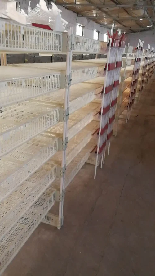 Factory Price 6 Layer Plastic Bird Cage With Collect System For 350 Quails - Image 5