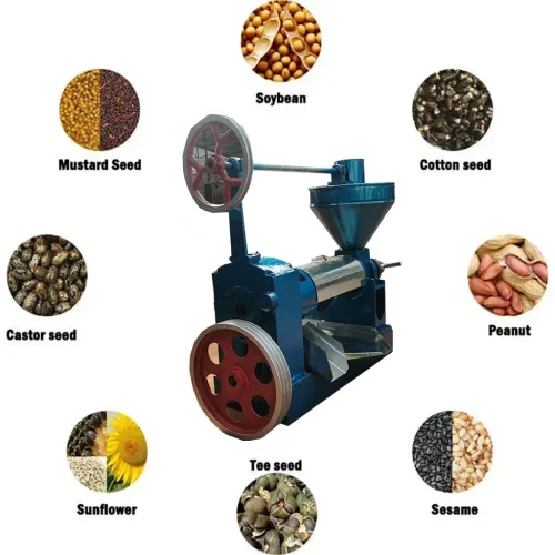 Cold Oil Press Machine Commercial Oil Extraction Machine Soybean