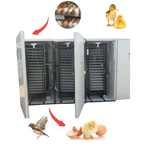 Fully Automatic 13000 Quail Egg Incubator Large Capacity Bird Incubator - Image 6