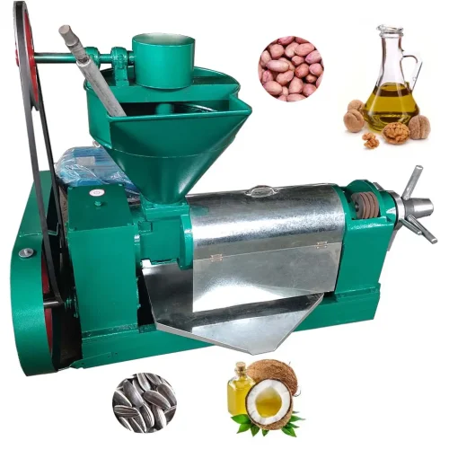 Fully Automatic Oil Presser Machine Peanut Soybean Sesame Seeds Cold Press Oil Machine