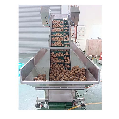 10Kg Potato Beetroot Onion Weight Filler Belt Linear Weigher