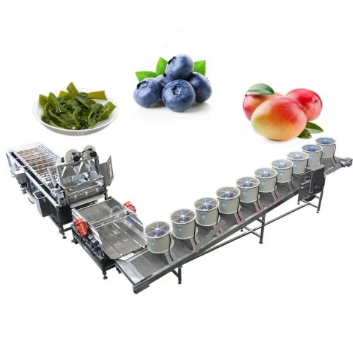 Industrial Air Bubble Fruit Cleaning Machine Fruit & Vegetable Cleaning Machine - Image 2