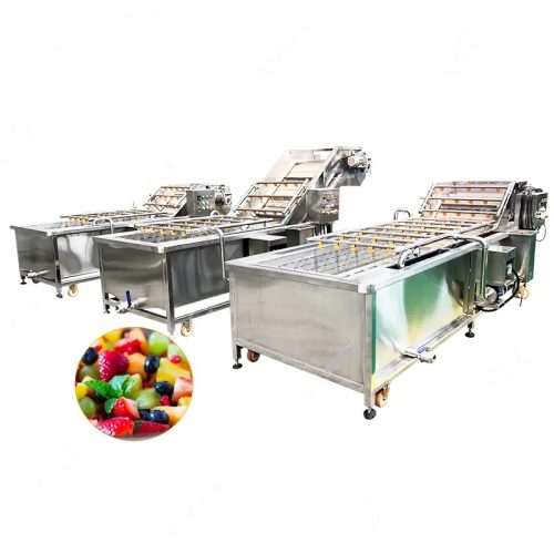 Industrial Air Bubble Fruit Cleaning Machine Fruit & Vegetable Cleaning Machine - Image 4