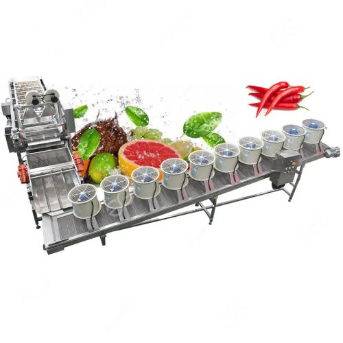 Industrial Air Bubble Fruit Cleaning Machine Fruit & Vegetable Cleaning Machine - Image 5