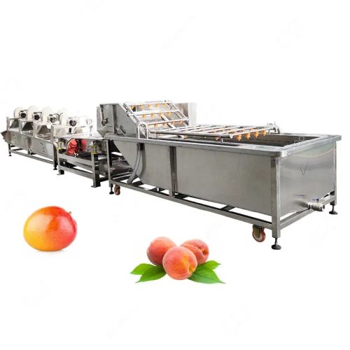 Industrial Air Bubble Fruit Cleaning Machine Fruit & Vegetable Cleaning Machine - Image 7