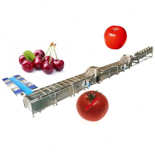 Industrial Air Bubble Fruit Cleaning Machine Fruit & Vegetable Cleaning Machine - Image 6