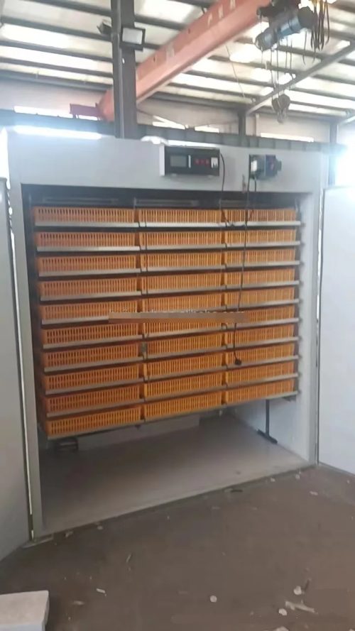 Solar Power Full Automatic 5000 Eggs Incubator Hatching Machine - Image 2