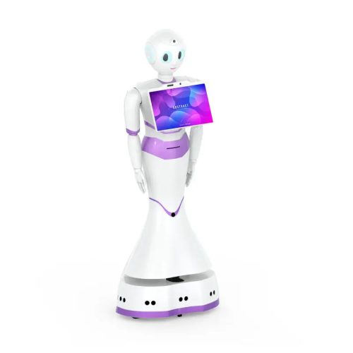 LONGERMAY Intelligent Humanoid Service Robot – High Stability & Great Quality