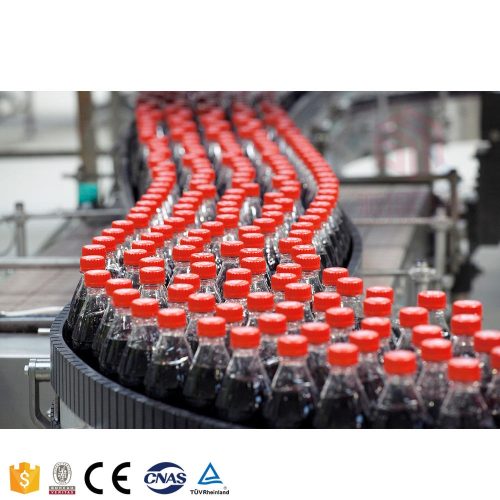 High Quality 2000 ml Pet Bottle Carbonated Beverage Filling And Capping Pure Water Filling Station Water Packaging Machine