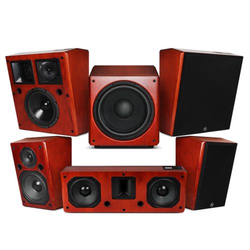 Professional Home Theater System With Source Subwoofer