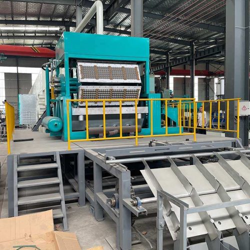 Automatic Pulp Forming Egg Tray Production Line With Vacuum Pump - Image 4