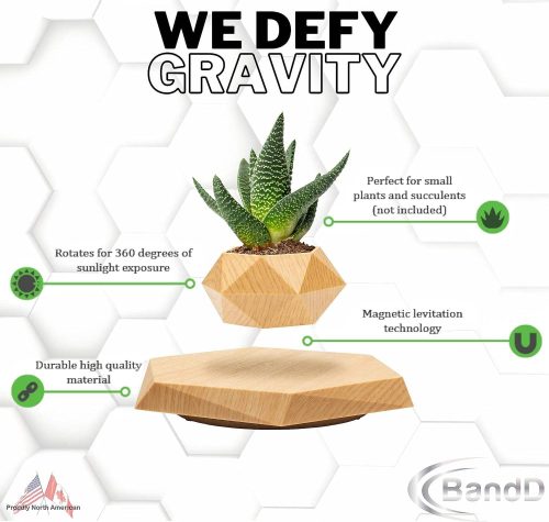 Levitating Plant Pot - Floating Plant Pot for Small Plants Decor for Home & Office Magnetic Floating Levitating Display (10 MOQ is required) - Image 2