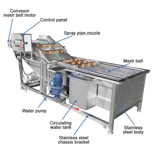 Fruit Cleaning Machine Small Meat Fruit Vegetable Washing Machine - Image 4