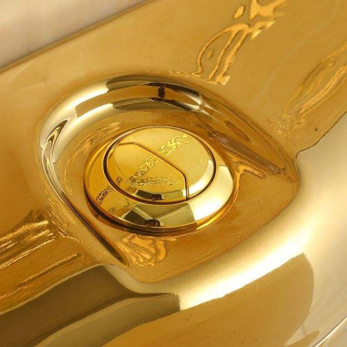 Luxury Bathroom Gold WC Toilet Washdown Siphonic One Piece Toilet - Image 4