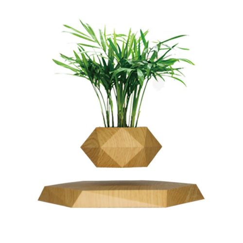 Levitating Plant Pot - Floating Plant Pot for Small Plants Decor for Home & Office Magnetic Floating Levitating Display (10 MOQ is required) - Image 5