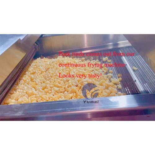 Industrial Chicken Meat Churros Ground Nut Deep Frying Machine - Image 4