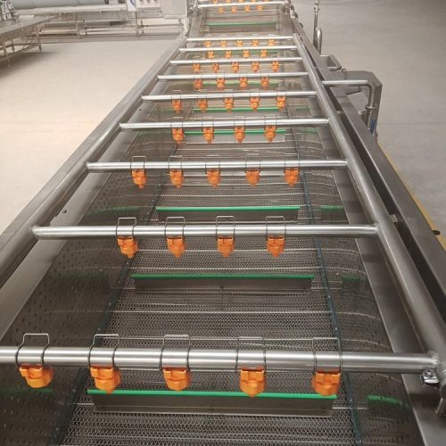 Industrial Carrot Potato and Vegetable Washer Fruit Vegetable Washing Machine - Image 6