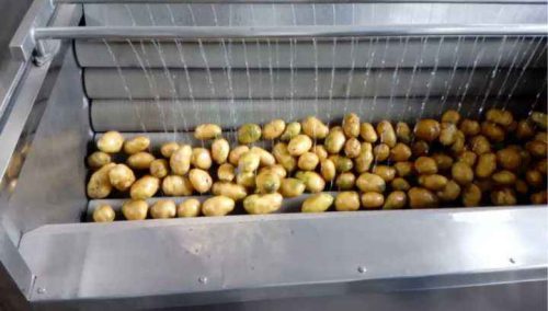 Industrial Carrot Potato and Vegetable Washer Fruit Vegetable Washing Machine - Image 7